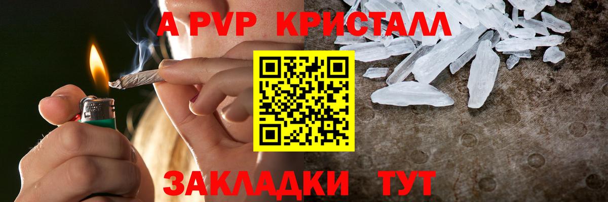 Alfa_PVP СК Саранск