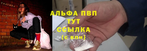 PSILOCYBIN Абаза