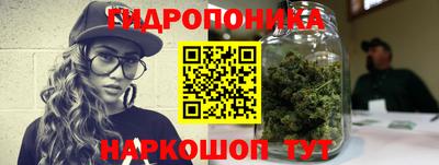 мяу мяу кристалл Гусь-Хрустальный