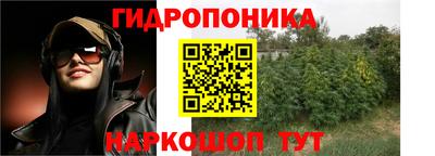 мяу мяу кристалл Гусь-Хрустальный