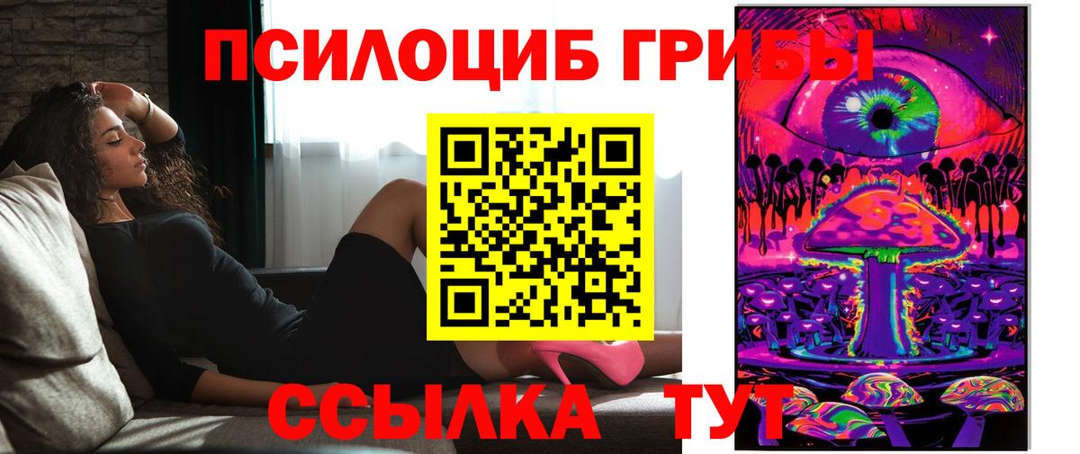 Саранск  Псилоцибиновые грибы Psilocybine cubensis  Вход с VPN 